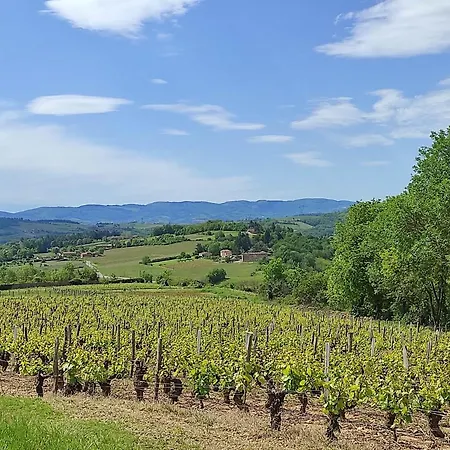 Jarnioux - Les Meubles Des Pierres Dorees * Theize